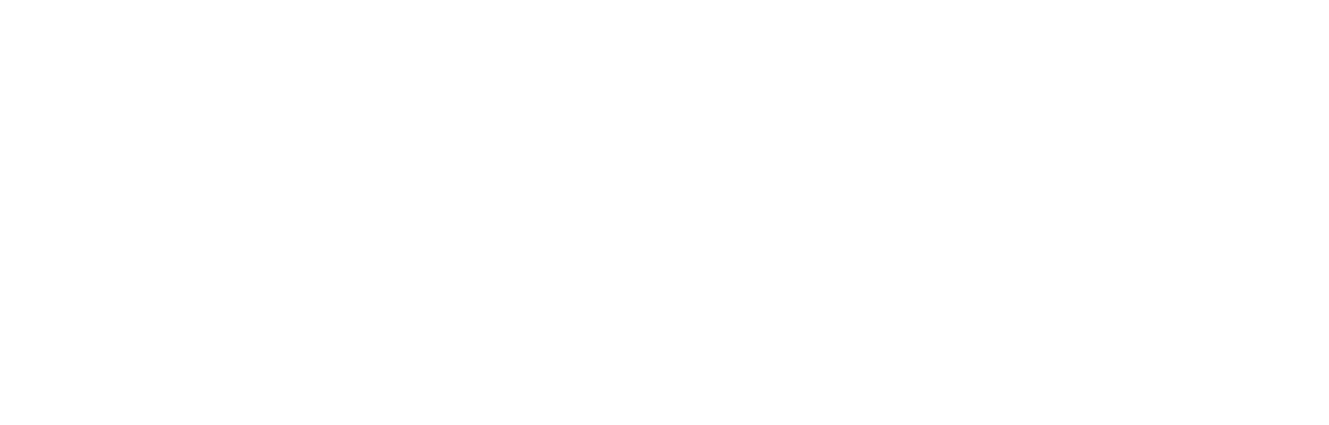 PL8CHAT Text Logo