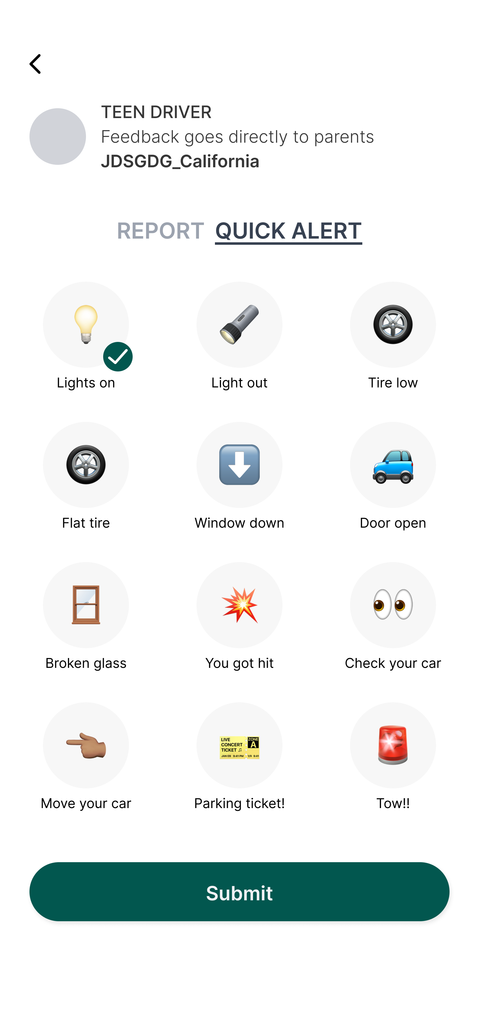 PL8CHAT teen driver quick alert options screen